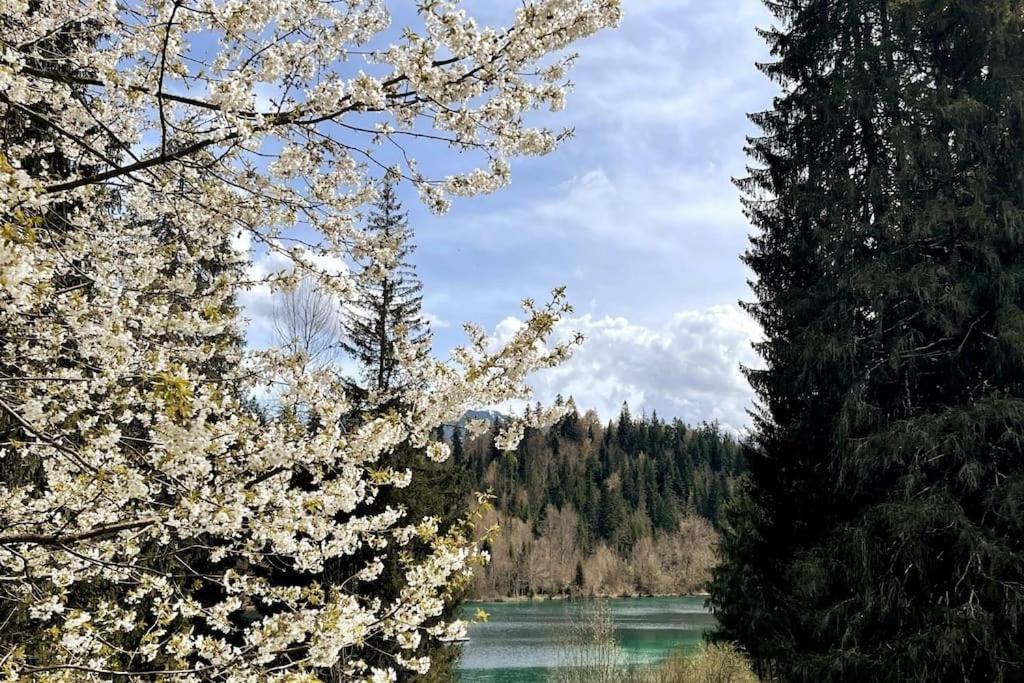 Wohnung Mit Fantastischer Aussicht Trin Exterior photo